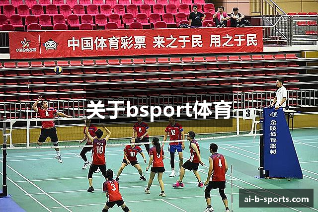 关于bsport体育